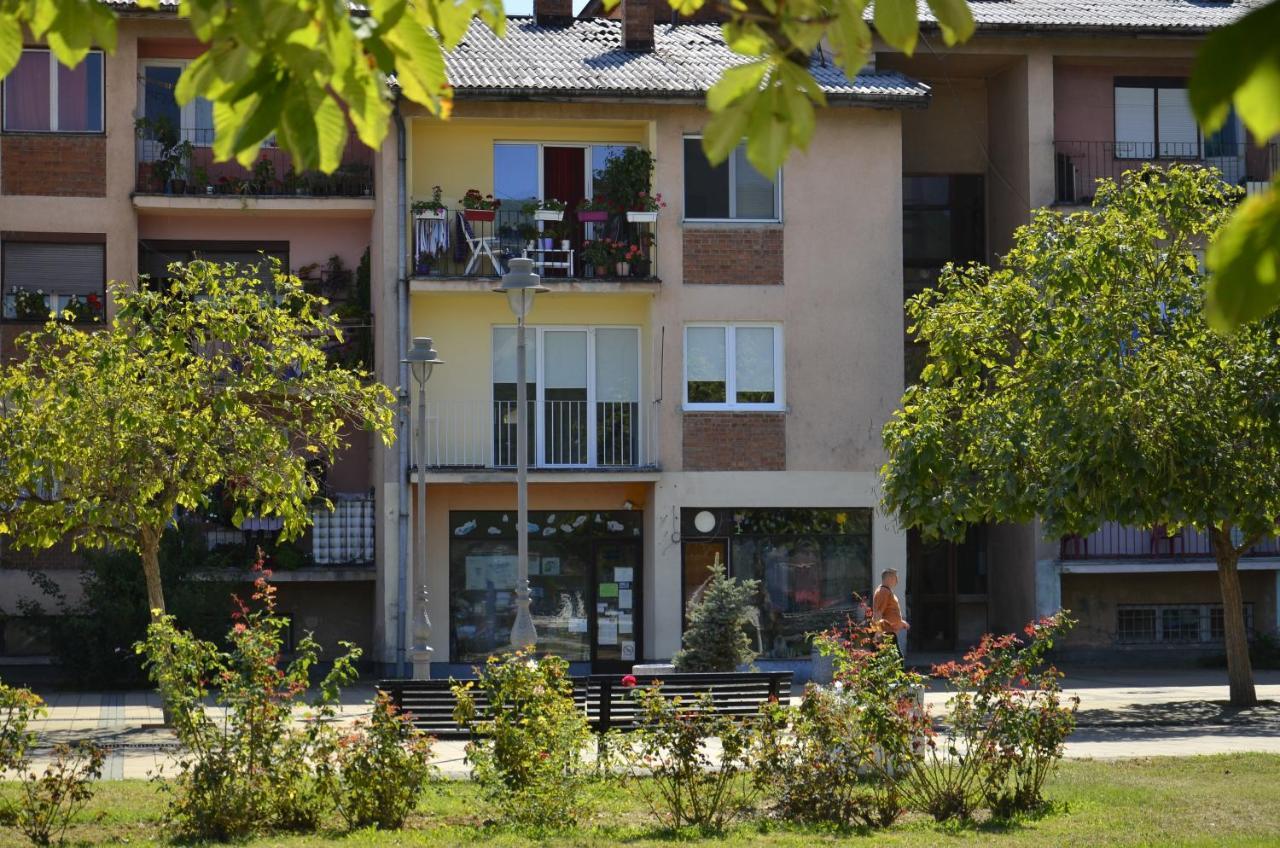 Apartman Terassa โดนยี มิลาโนวัซ ภายนอก รูปภาพ